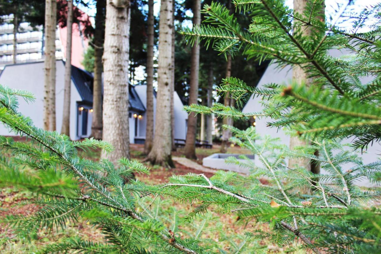 Boro Green Holiday Village ボロヴェッツ エクステリア 写真