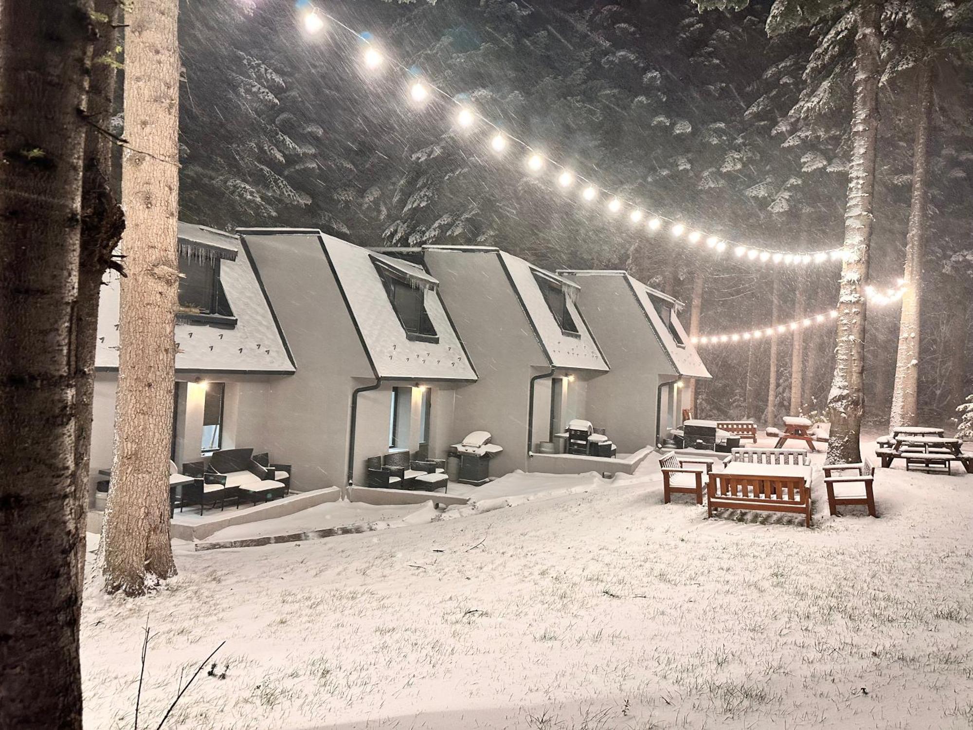 Boro Green Holiday Village ボロヴェッツ エクステリア 写真