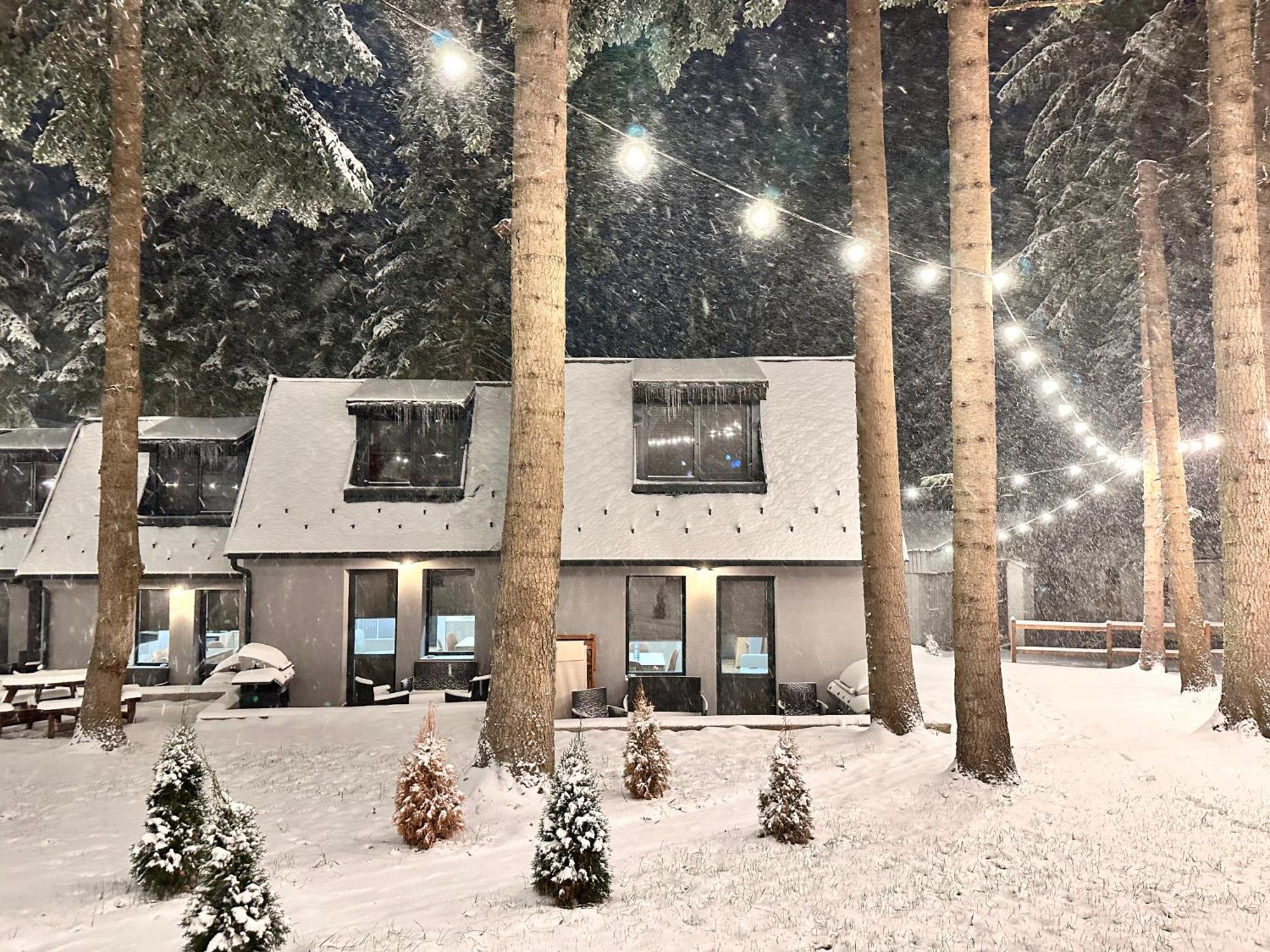 Boro Green Holiday Village ボロヴェッツ エクステリア 写真