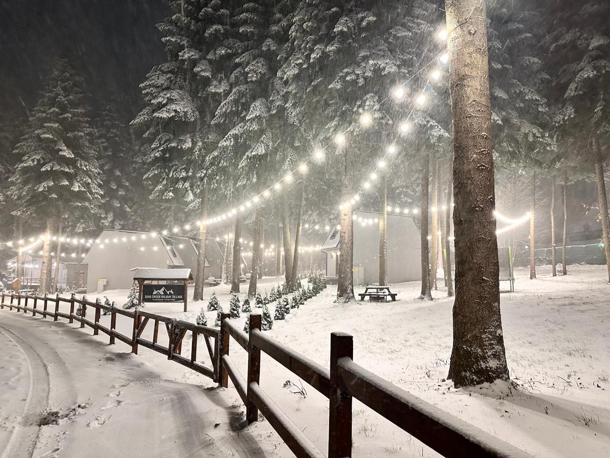 Boro Green Holiday Village ボロヴェッツ エクステリア 写真