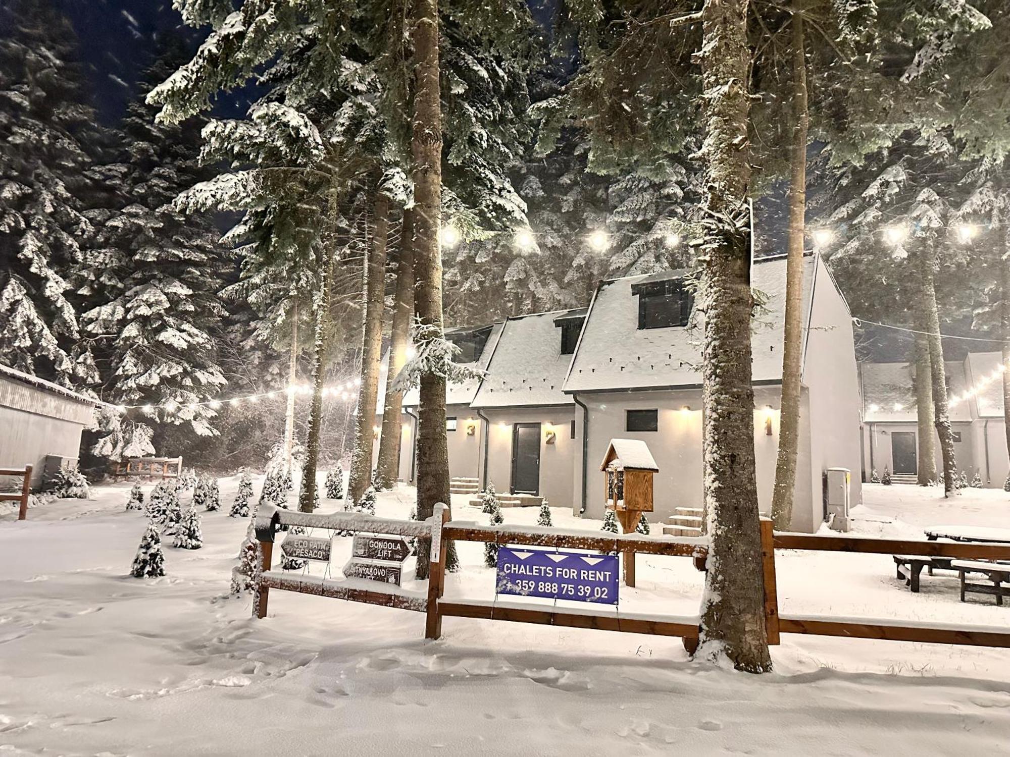 Boro Green Holiday Village ボロヴェッツ エクステリア 写真