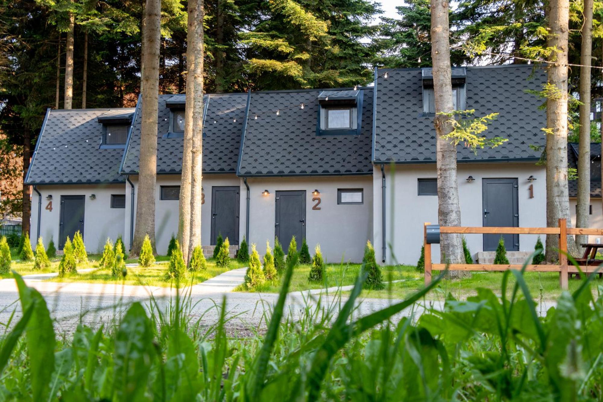 Boro Green Holiday Village ボロヴェッツ エクステリア 写真